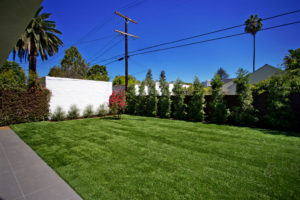 A backyard with grass and a fence.