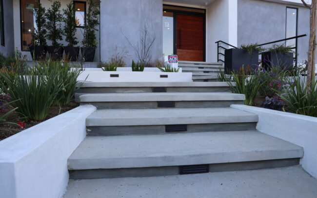 A front entrance with steps and plants leading to the door.